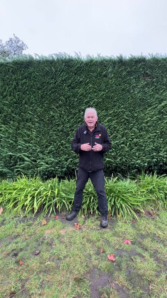 Post 10 by Hello Hello Plants Nursery on TikTok (video)
