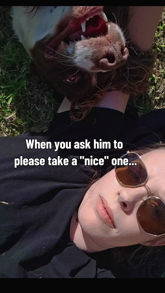 Post 6 by A Social Approach 🇦🇺 on TikTok (video)