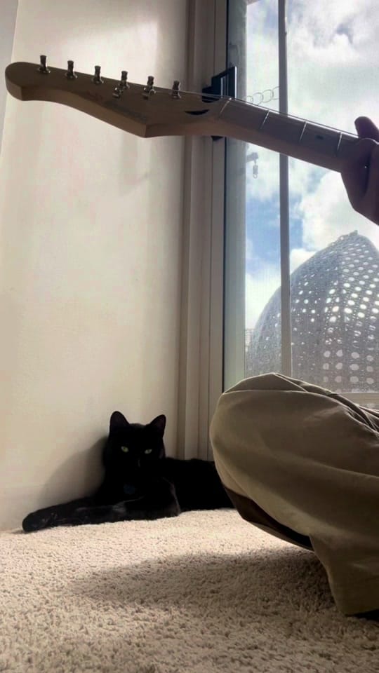 Post 5 by naomi on TikTok (video)