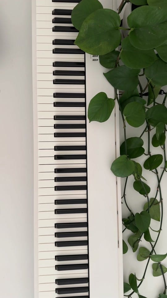Post 10 by maya on TikTok (video)