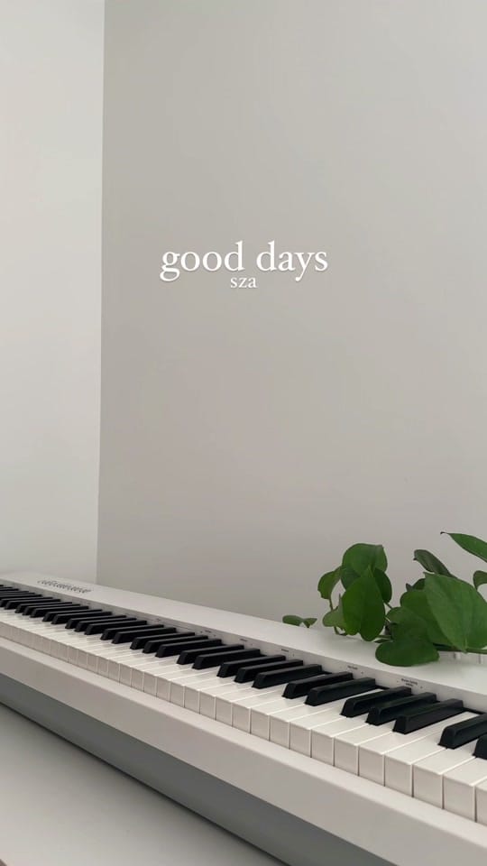 Post 7 by maya on TikTok (video)