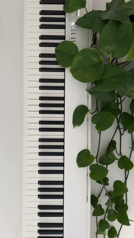 Post 3 by maya on TikTok (video)