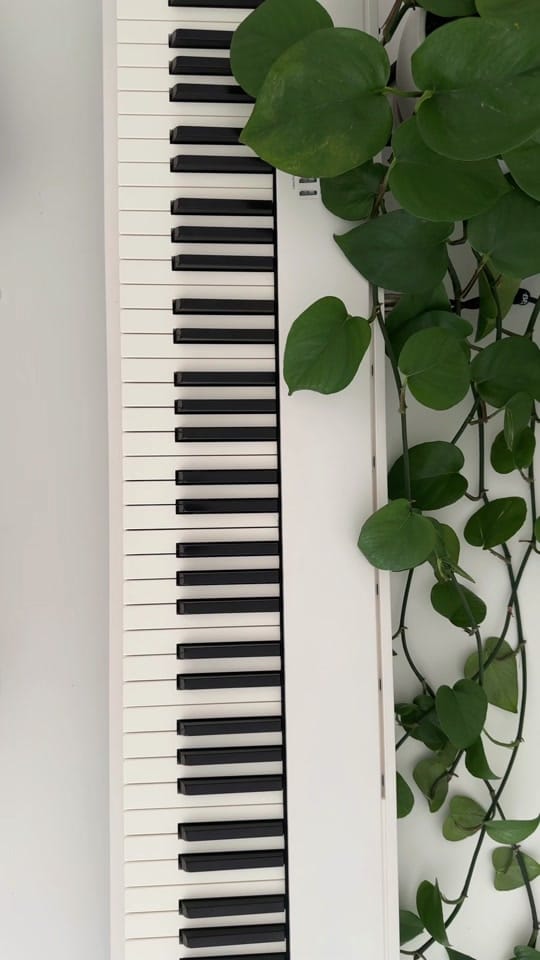 Post 9 by maya on TikTok (video)