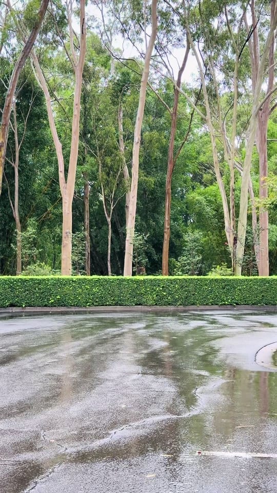 Post 10 by Looknu Life Style on TikTok (video)