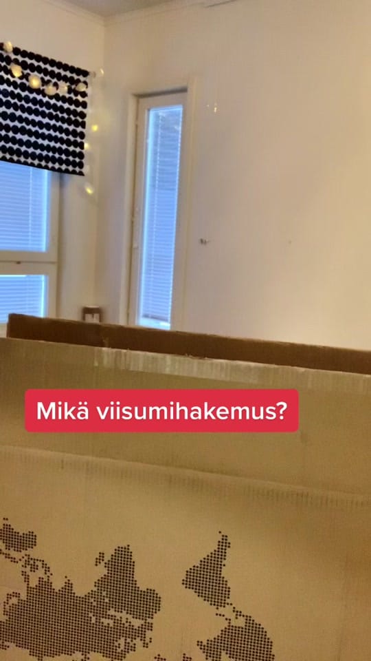 Post 9 by LaPappine on TikTok (video)