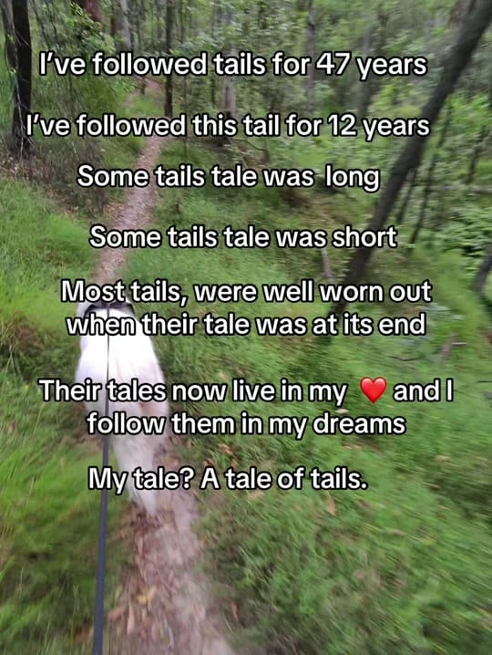 Post 10 by Steve Phoenix on TikTok (video)