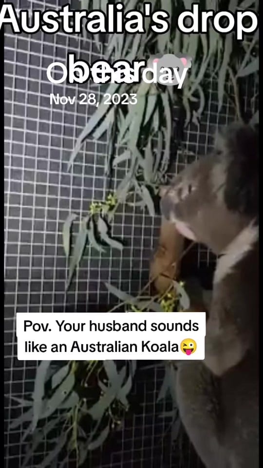 Post 6 by Snaggle the Pleasurepuss on TikTok (video)