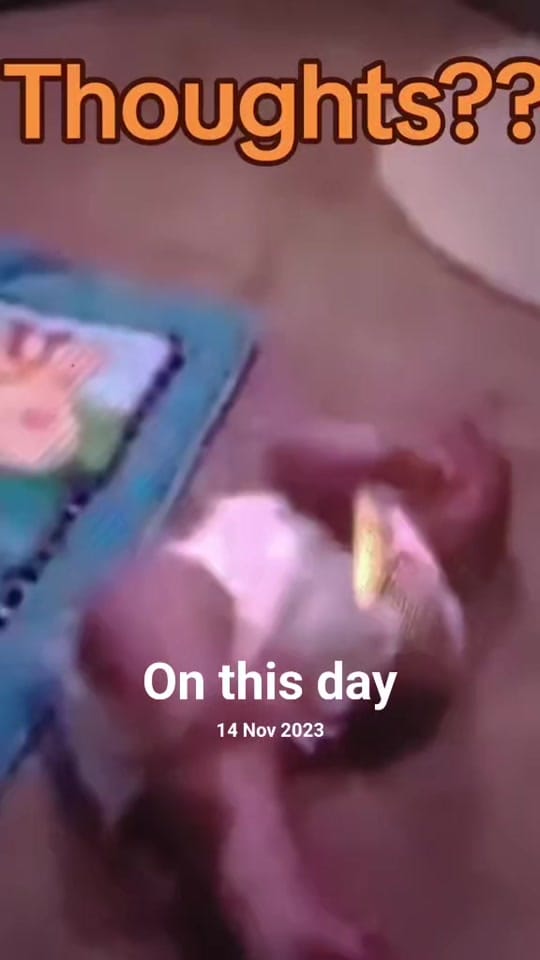 Post 7 by Snaggle the Pleasurepuss on TikTok (video)