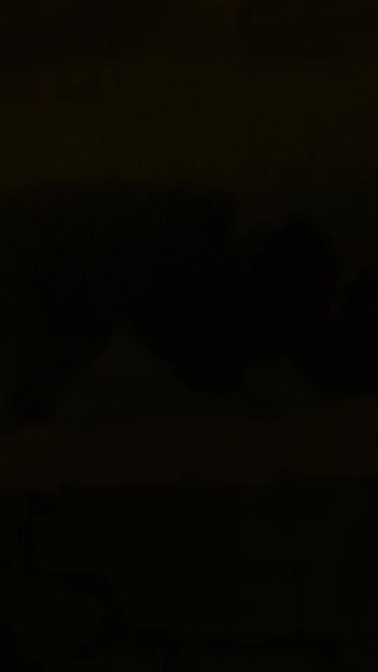 Post 1 by 🐾 Paula Salama 🐾 on TikTok (video)