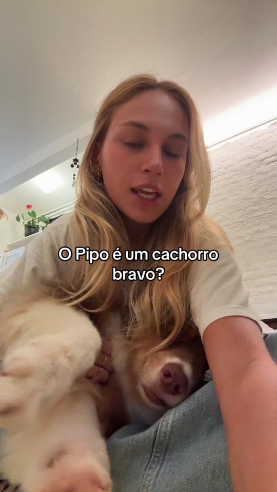 Post 6 by ninocapacoca123 on TikTok (video)