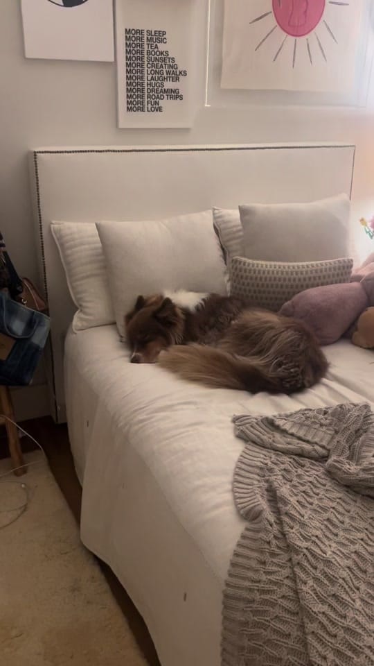 Post 5 by ninocapacoca123 on TikTok (video)