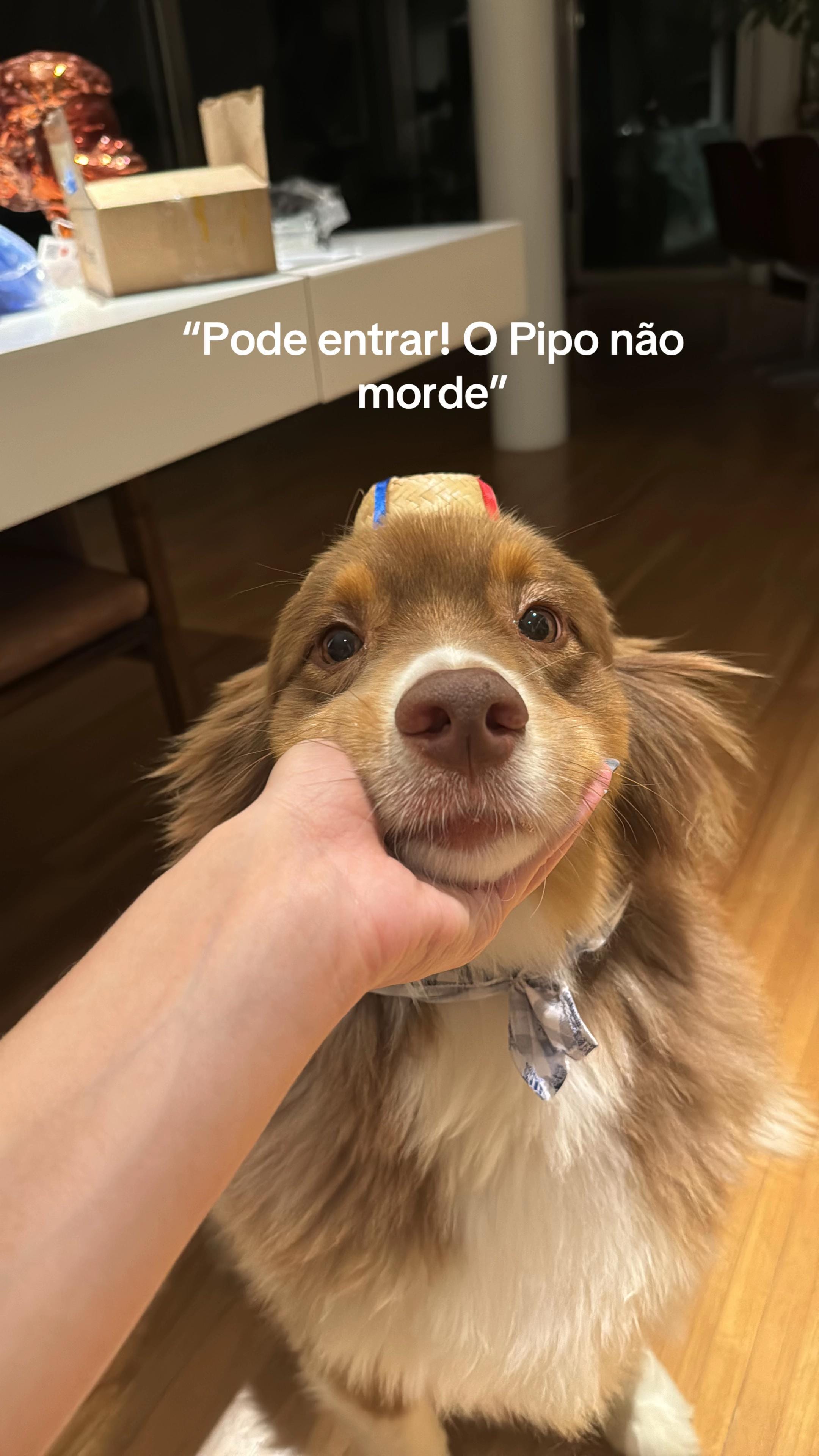 Post 9 by ninocapacoca123 on TikTok (video)