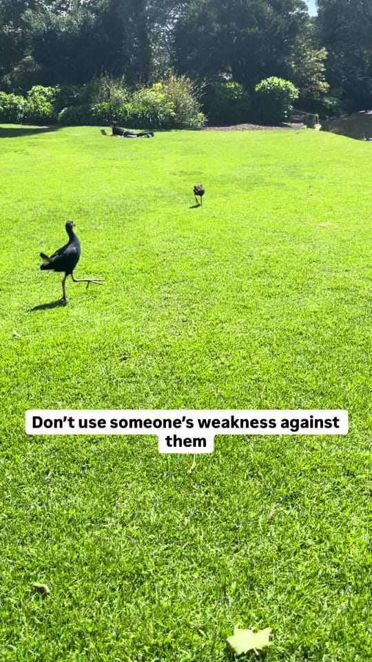 Post 6 by ninong__a on TikTok (video)