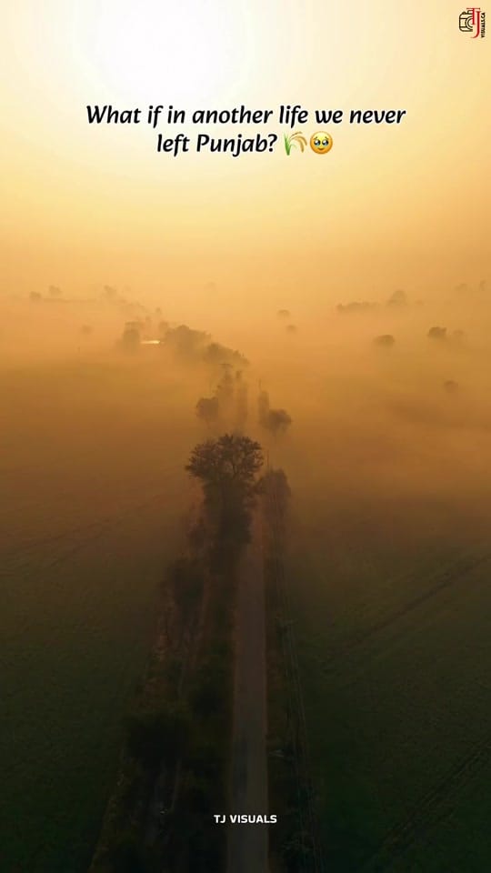Post 6 by Sandhu on TikTok (video)