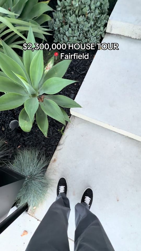 Post 5 by Harry Wallace on TikTok (video)
