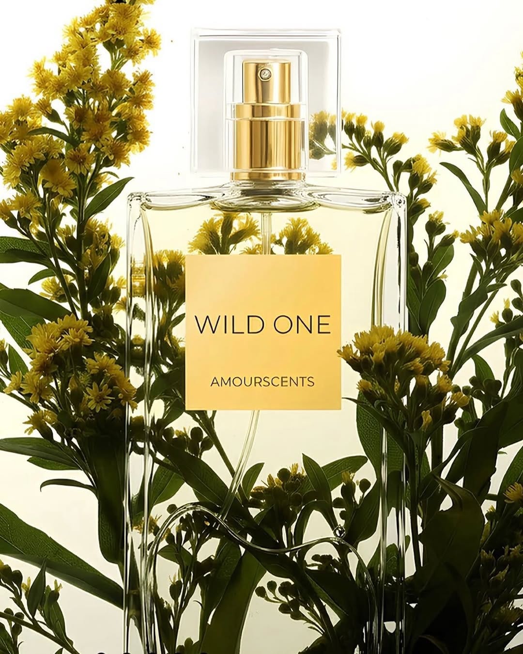 Post 8 by @amourscentsofficial on Instagram (image)