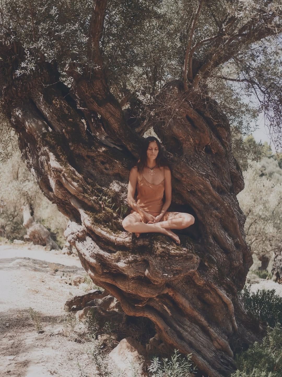 Post 2 by PERFUMERA CURANDERA on Instagram (image)