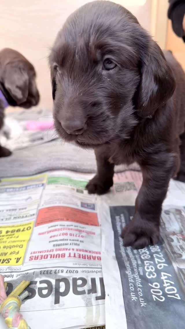 Post 5 by T I L L Y  W O O D on Instagram (video)