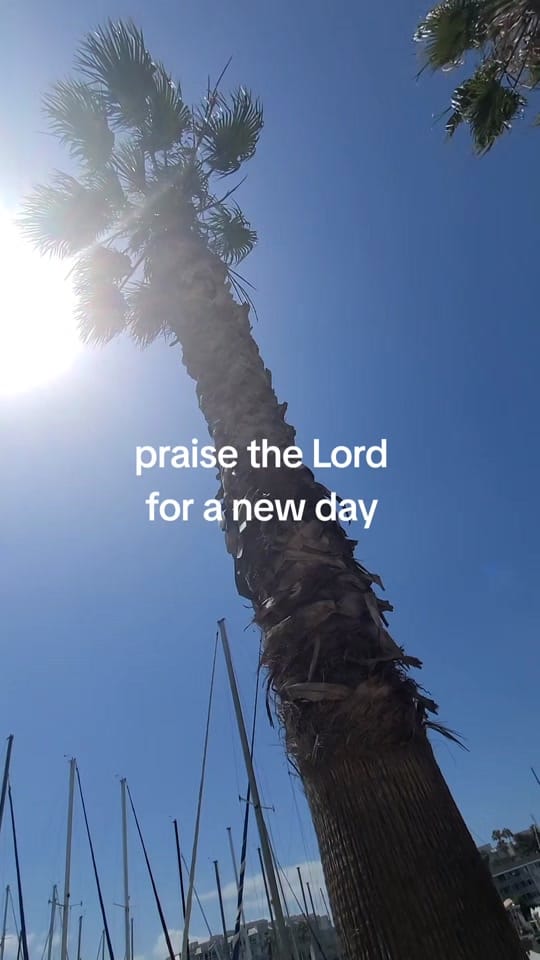 Post 6 by Julsvibesonly on TikTok (video)