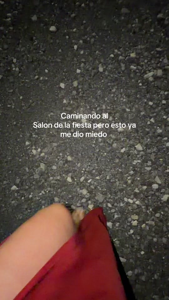 Post 3 by stephaniedeleonxo on TikTok (video)