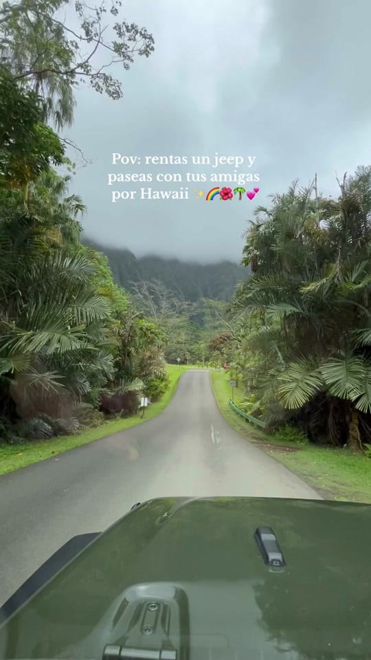 Post 8 by Steph on TikTok (video)