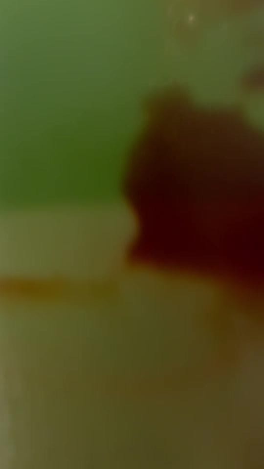 Post 4 by Frida Filoteo on TikTok (video)