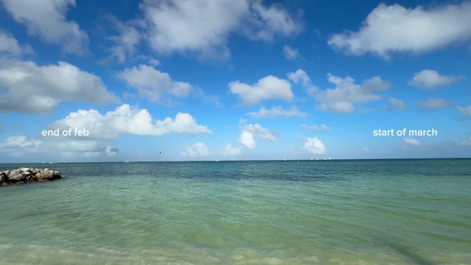 Post 6 by Frida Filoteo on TikTok (video)