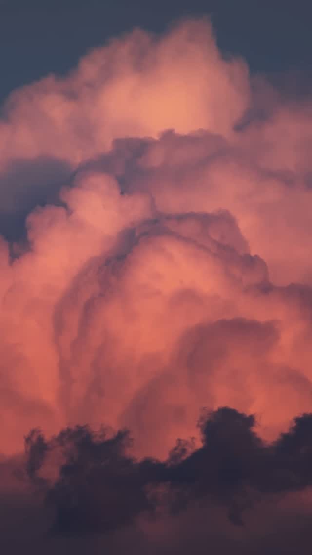 Post 3 by 𝘈𝘎𝘌𝘕𝘊𝘌 𝘋𝘌 𝘗𝘈𝘙𝘍𝘜𝘔𝘌𝘙𝘐𝘌 on Instagram (video)