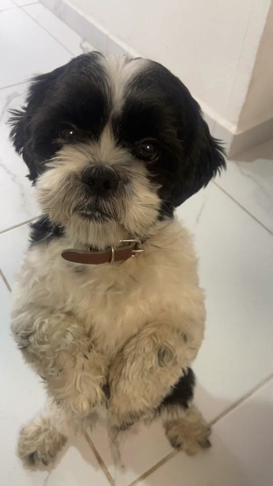 Post 2 by Iiiiitfg on TikTok (video)
