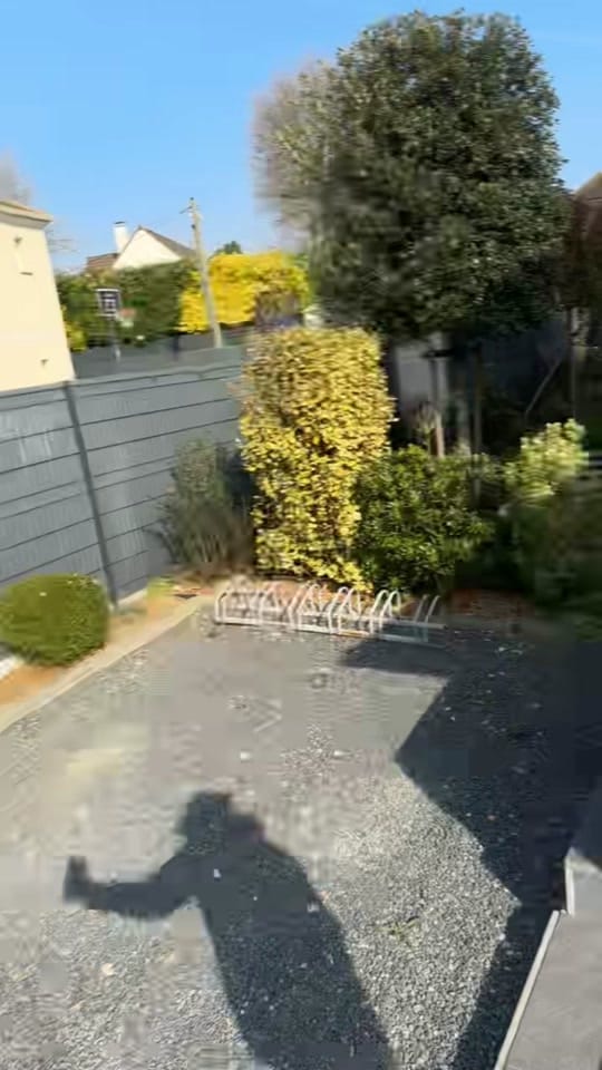 Post 10 by rouguis on TikTok (video)