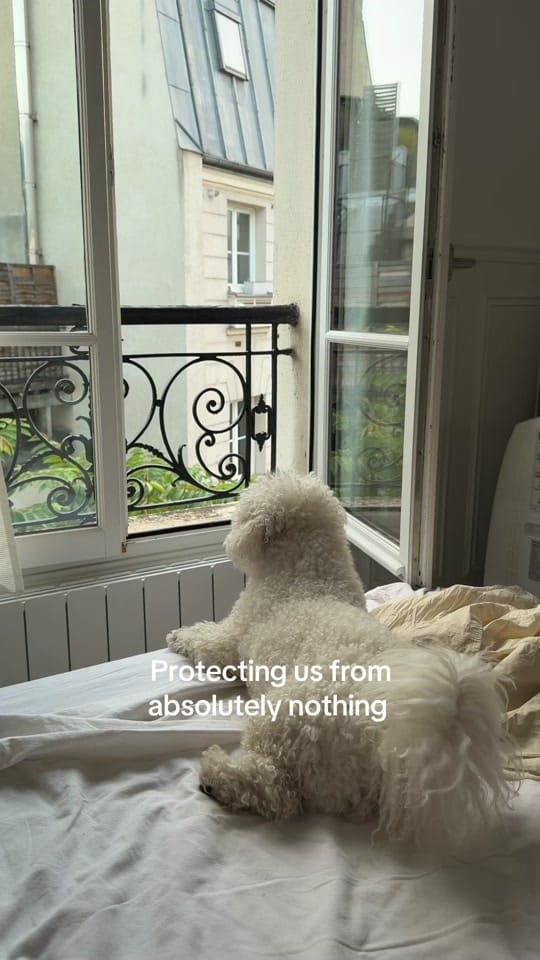 Post 5 by Olga on TikTok (video)