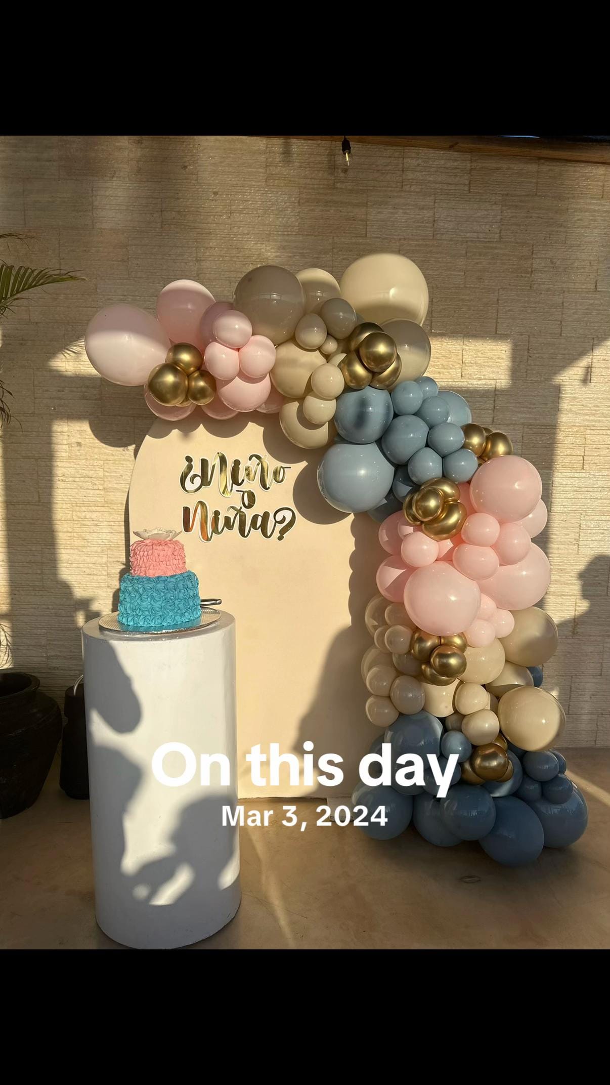 Post 5 by mskarinamichelle on TikTok (video)