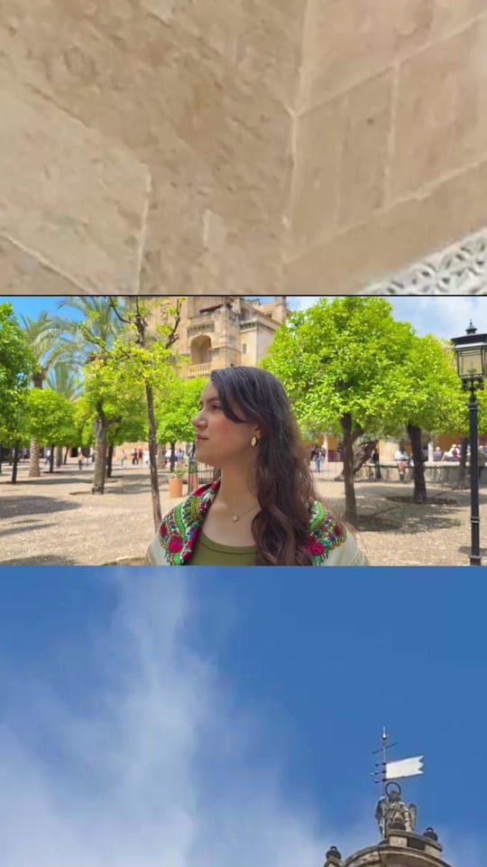 Post 4 by Nesrine on TikTok (video)