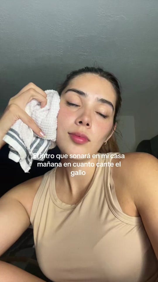 Post 6 by aliciaorpinel1 on TikTok (video)