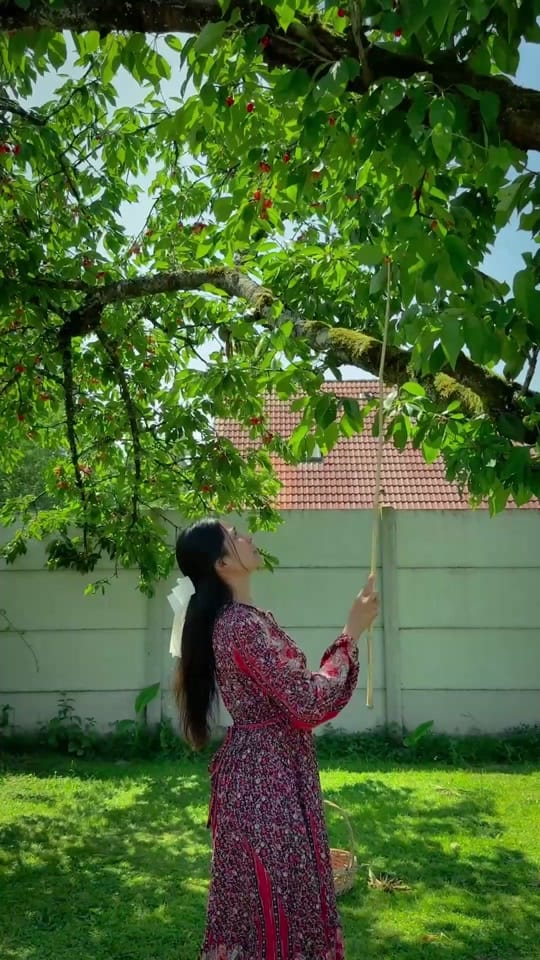 Post 8 by Asana Paris on TikTok (video)