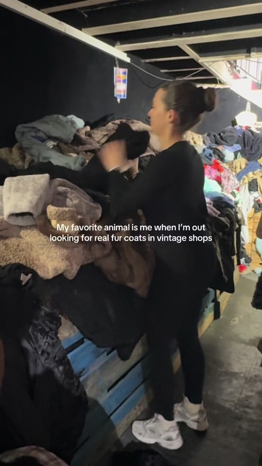 Post 10 by Cassandre crst on TikTok (video)