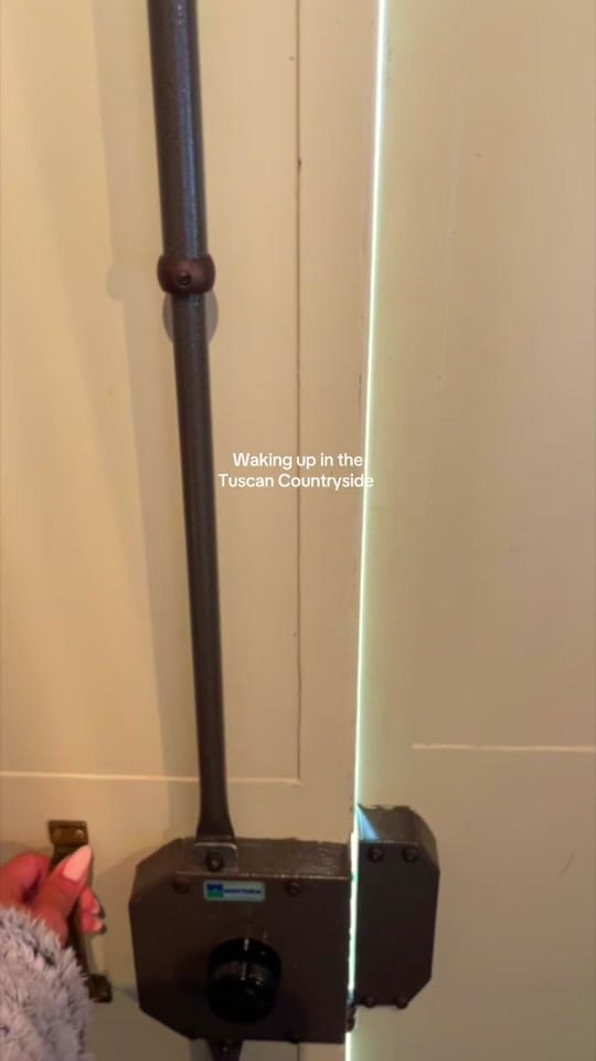 Post 4 by Sarv on TikTok (video)