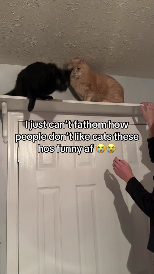 Post 9 by Paris ♦️ on TikTok (video)