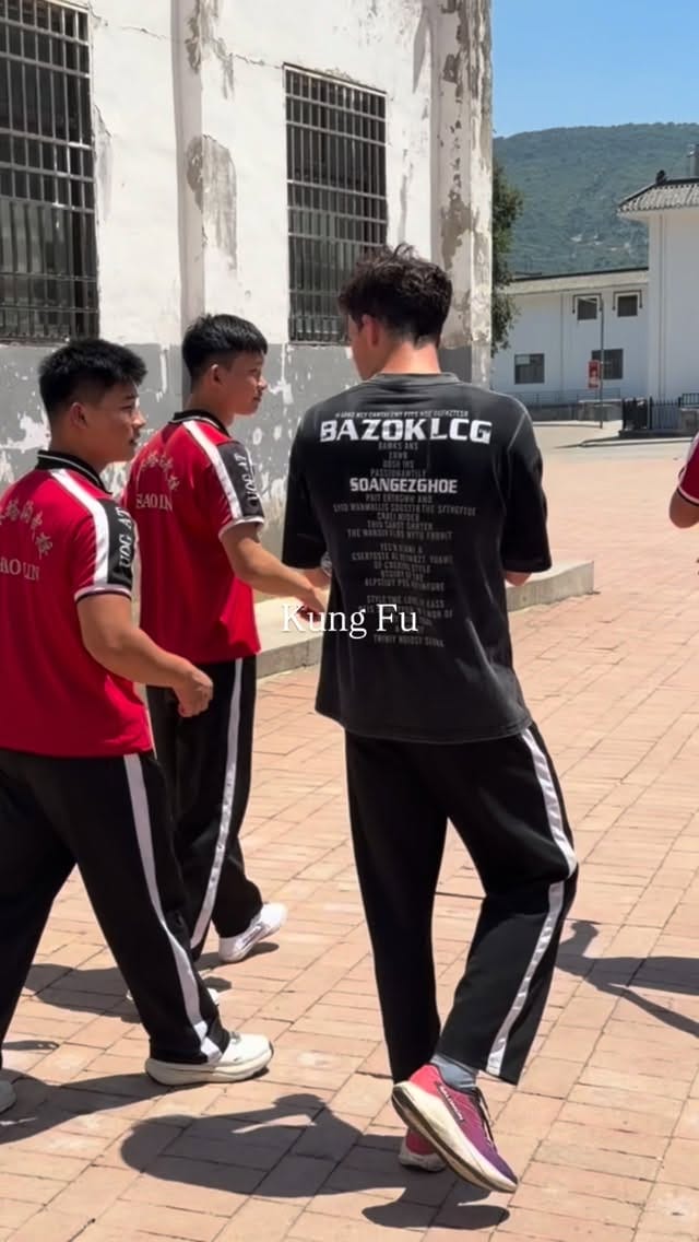 Post 6 by Sacha Wenk on Instagram (video)
