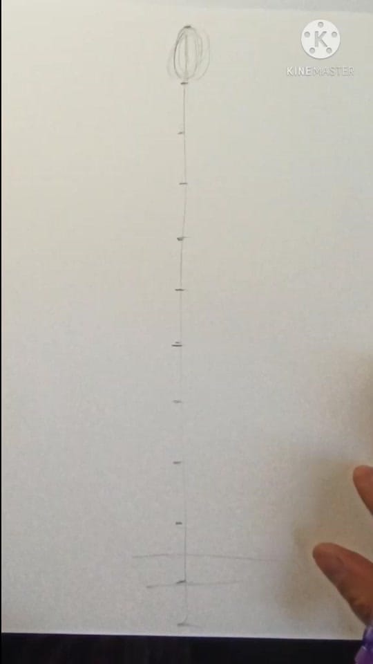 Post 4 by Guillermo Meraz on TikTok (video)