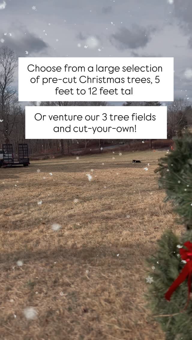 Post 9 by Paproski's Castle Hill Farm on Instagram (video)