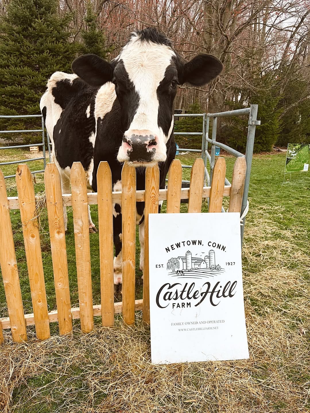 Post 3 by Paproski's Castle Hill Farm on Instagram (carousel)