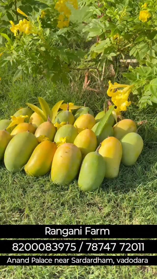Post 4 by Foodies in OurVadodara on Instagram (video)