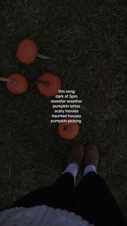 Post 3 by Francesca Lynn on TikTok (video)