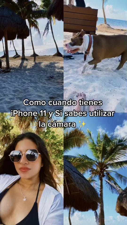 Post 10 by Alearismendis on TikTok (video)