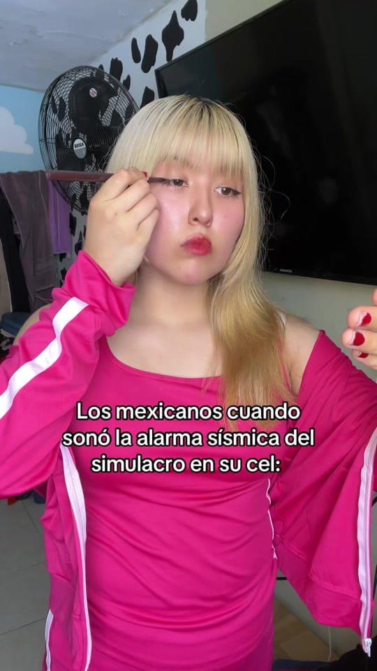 Post 5 by saraconett on TikTok (video)