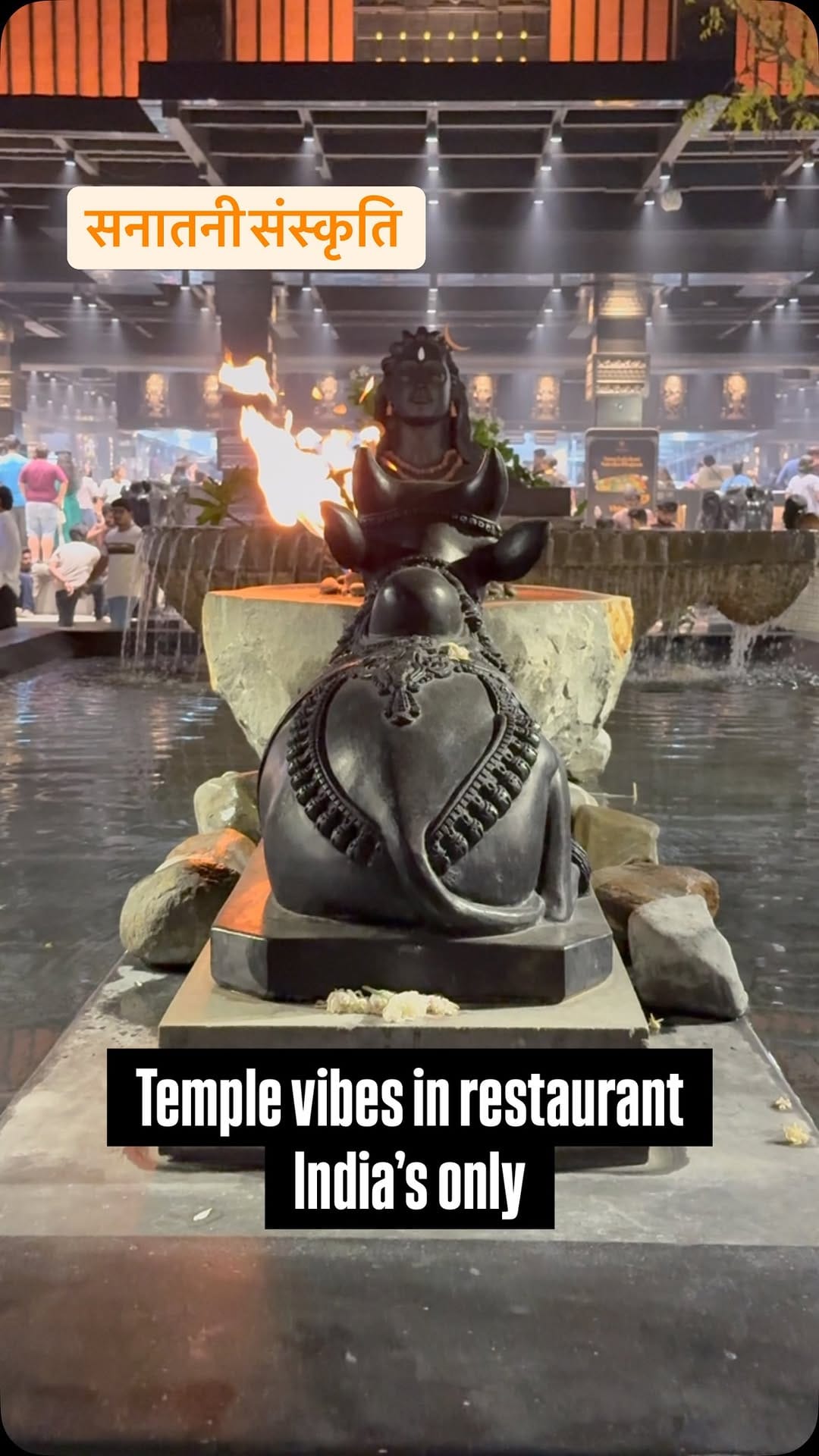 Post 2 by AJAY & AYUSHI : The Food Explorers😋 on Instagram (video)