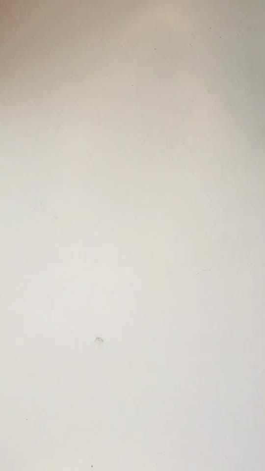 Post 4 by alena on TikTok (video)