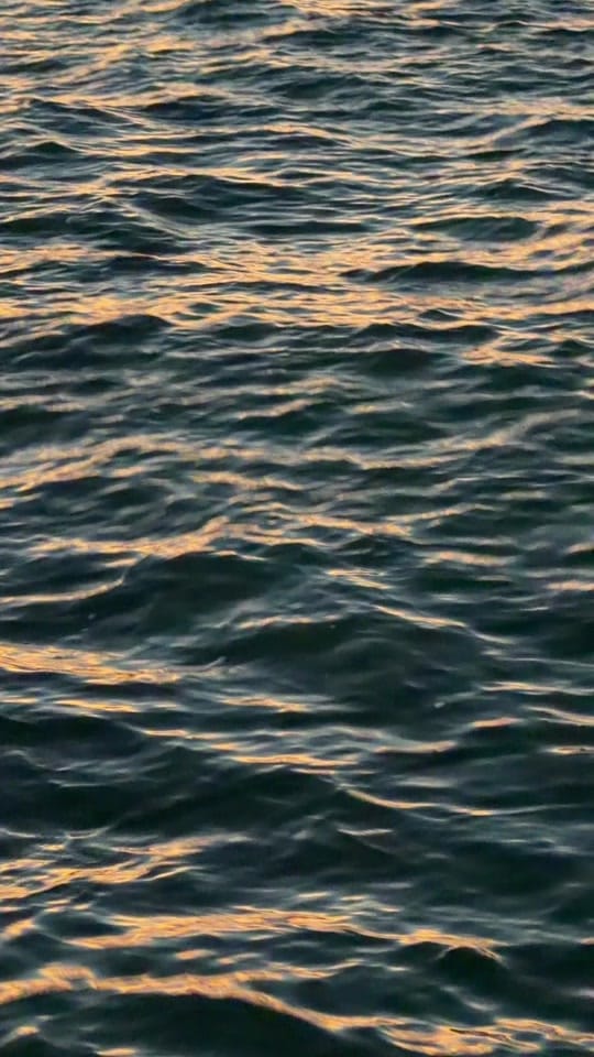 Post 2 by Iván Cauich | Fotógrafo on TikTok (video)
