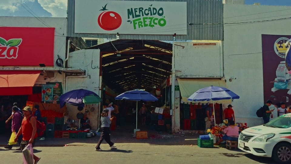 Post 8 by Iván Cauich | Fotógrafo on TikTok (video)